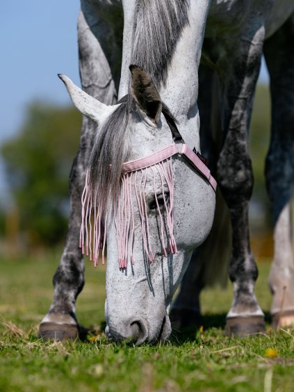 it06874 lifestyle flyfringe blossom 1