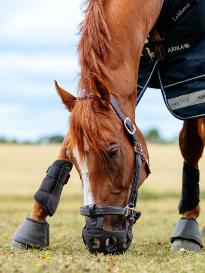 it08179 lifestyle nomagrazingmuzzle black 3