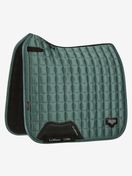 lm loireclassicdressage sage hr