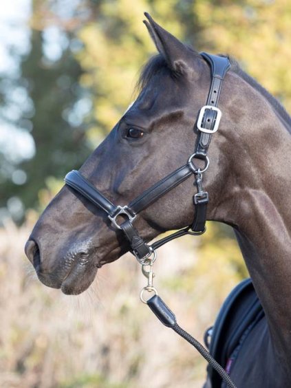 lm anatomicheadcollar black3 hr