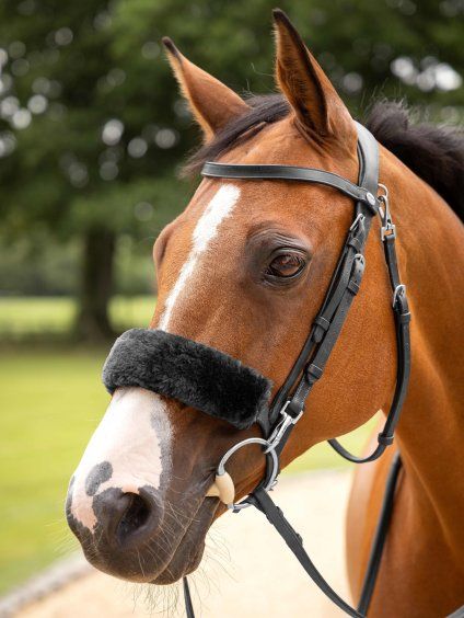 3n6a1192 edit edit black noseband copy