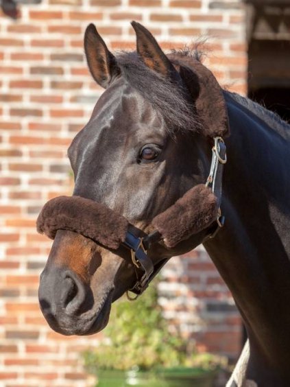 Sada pravých beránků na ohlávku LeMieux Lambskin Headcollar Set Brown