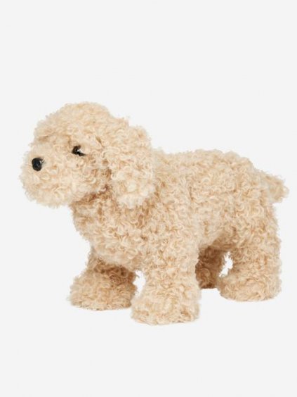 lm aw23 toydog cockapoo hr 1 copy