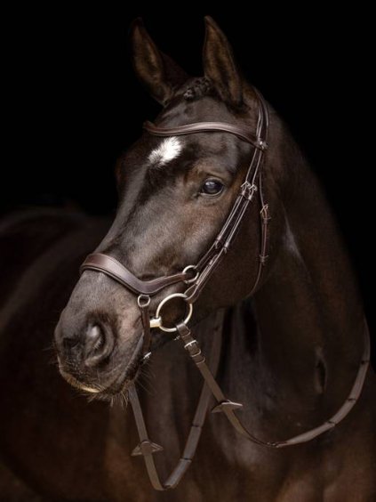 it03733 lifestyle arikadropbridle brown 1 copy