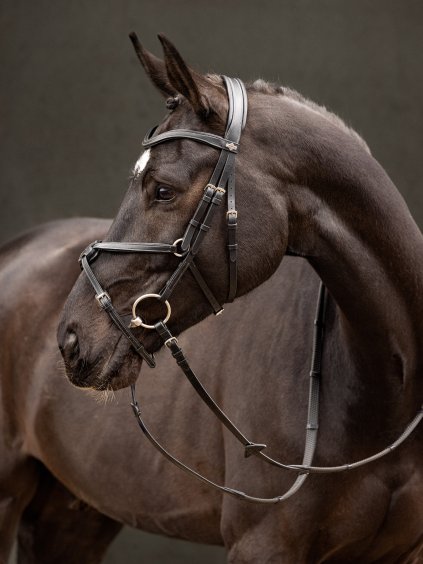it03738 lifestyle arikagracklebridle black 2 copy