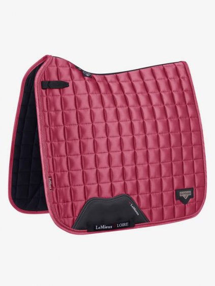 lm loiredressage frenchrose hr