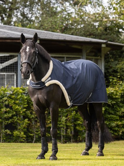 it04512 lifestyle walkerrug navy 3