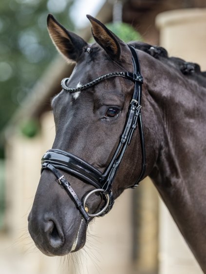 it03552 lifestyle kudospatentdressagebridle black 3
