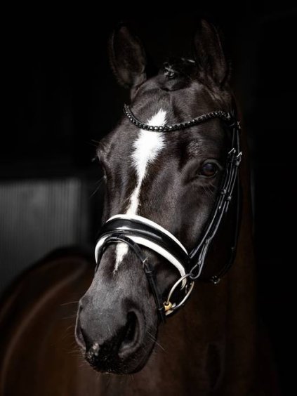 it04762 lifestyle kudospatentdressagebridle blackwhite 2