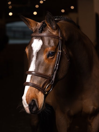 it04474 lifestyle kudosdoublenosebandbridle havanabrass 1