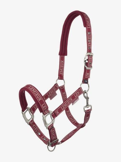 it05295 product logoheadcollar ember 1