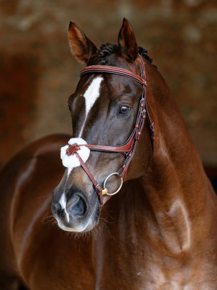 it07459 lifestyle kudosgracklebridle chestnut 1