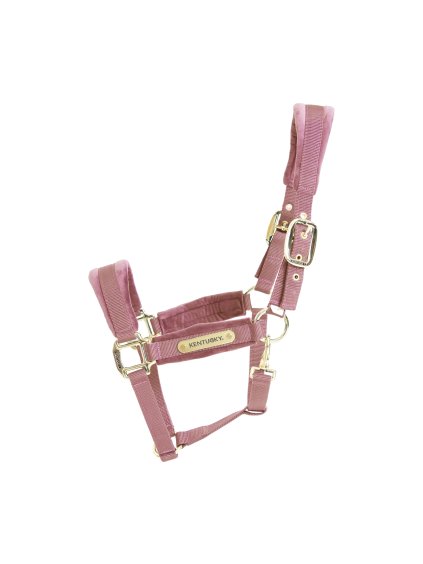 5175e04602e1fb623ed69938af91853aff8d6fcb482f3f58c2a1a1b1fef5457f