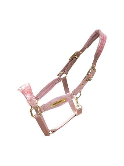 d44046c8c85cc63e56b8ade8708d8d6a277c9cd65ce8e9b1a82fd80417e7ddc1