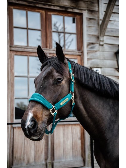 Ohlávka se sametovým podložením Kentucky Velvet Emerald