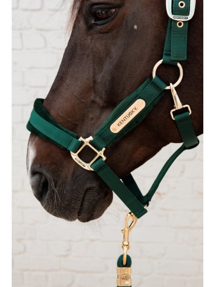 Ohlávka se sametovým podložením Kentucky Velvet Pine Green