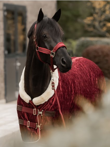 Deka stájová termo 160g Kentucky Show rug Velvet Bordeaux