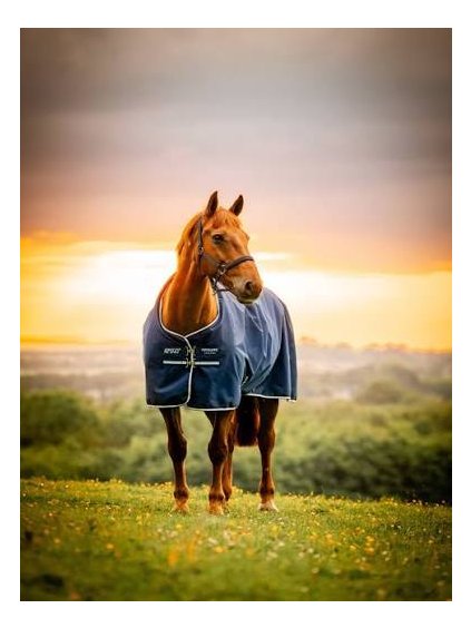 50g Výběhová deka s fleecovou podšívkou 900D Horseware Amigo® Whitney Navy