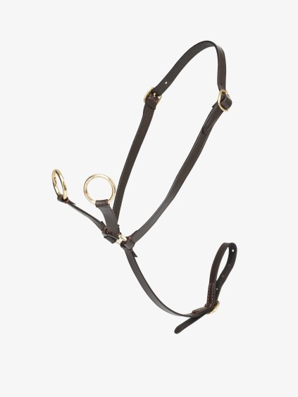 lm aw23 toypony martingale brown hr