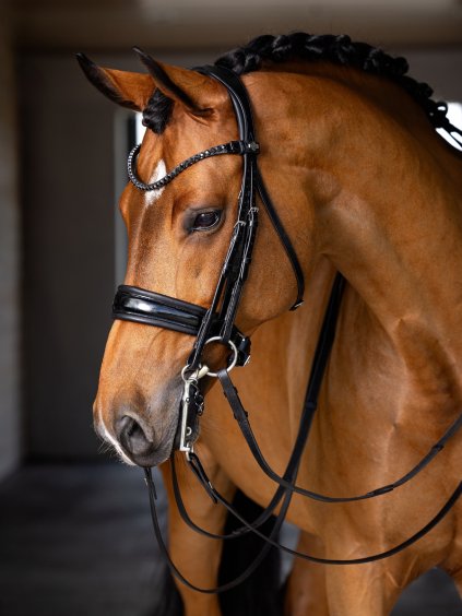 it03550 lifestyle kudosdoublebridle black 2