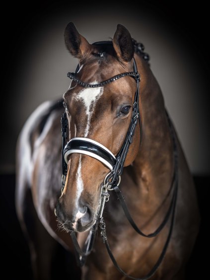 it05568 lifestyle kudosdoublebridle blackwhite 2