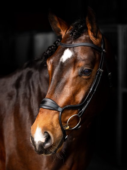 it05569 lifestyle arikaanatomicnosebandbridle blacksilver 2