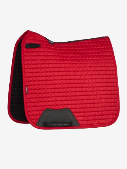 it08104 product suededressagesquare chilli 01