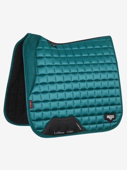 lm loiredressage memory peacock hr (1)