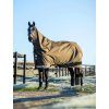 Arika Ripstop 100g Turnout Rug Alpine (Velikost 170cm)