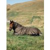 Arika Ripstop 100g Turnout Rug Alpine (Velikost 170cm)