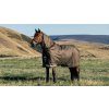 Arika Ripstop 100g Turnout Rug Alpine (Velikost 170cm)