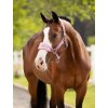 it08336 lifestyle vogueheadcollar mallow 01