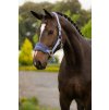 it08338 lifestyle vogue headcollar powder blue 01