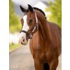 Capella Headcollar Fondant (Velikost Pony)