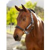Capella Headcollar Powder Blue (Velikost Pony)
