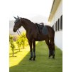 Loire Classic Dressage Square Jungle (Velikost Medium)