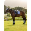 Loire Classic Dressage Square Powder Blue (Velikost Medium)