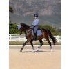Suede Dressage Square Powder Blue (Velikost Medium)