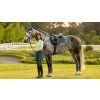 Loire Classic GP Square Jungle (Velikost Medium)