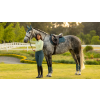 Loire Classic GP Square Jungle (Velikost Medium)