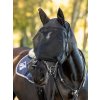 Jezdecká maska proti hmyzu LeMieux Ride On Fly Mask Black