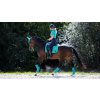 lm loiredressage azure1 hr