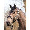 lm capellaheadcollar black1 hr 1