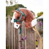 it03679 lifestyle hobbyhorse flash 1