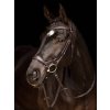 it03733 lifestyle arikadropbridle brown 1 copy