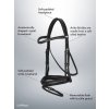 web trending now key details3 2