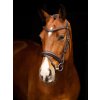 it03739 lifestyle arikadressagebridle brown 4 copy