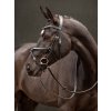 it03738 lifestyle arikagracklebridle black 2 copy