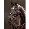grackle bridle black