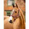 it04486 lifestyle essentialyardheadcollar burgundy 1